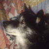 Bryngge who joined us as an old man